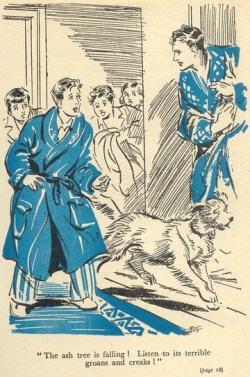 Julian warns everyone about the falling ash tree in "Five Go to Smuggler's Top" illustrated by Eileen Soper.