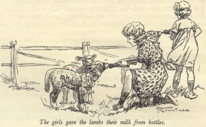 1 st edition Illustration by Harry Rountree