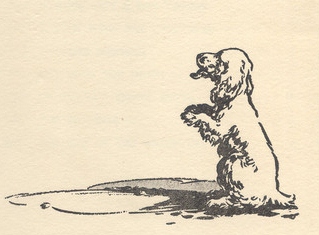Scamper in "The Secret Seven" drawn by George Brook