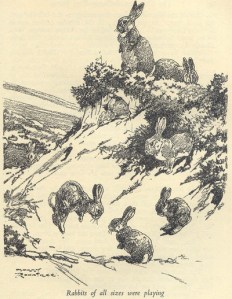 The Rabbits playing at the enterance to Timmylan's shelter. By Harry Roundtree