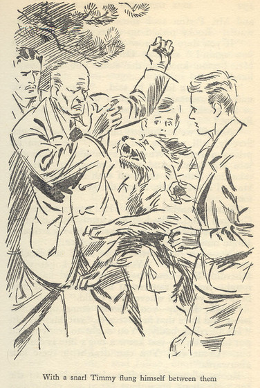 Timmy attacks Rooky by Eileen Soper in Five Get Into Trouble.