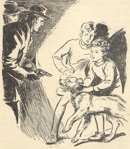 Timmy being fierce and protecting Julian and George in Five on a Treasure Island. Drawn by Eileen Soper.