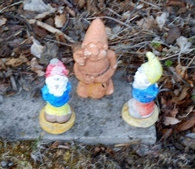 The gnomes