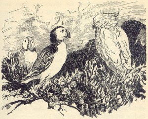 Huffin, Puffin and Kiki