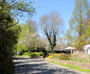 The walk from the carpark, past the Spade Oak towards Old Thatch. 