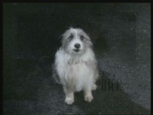 Timmy a.k.a Connal from the Zenith TV Series.