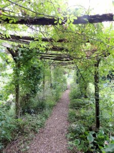 The Rose and Clematis walk from the other end by Stephanie Woods