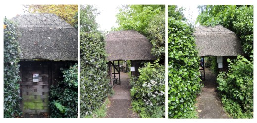 Three Seasons of Lych Gate Pictures (L-R) Auntum 2012, Spring 2013, Summer 2013 by Stephanie Woods