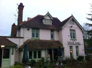 The Spade Oak (from Trip Advisor)
