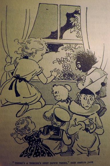 Looking out at the nest