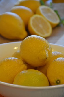 Lemons for lemonade. Photo credit: Rob.Bertholf / Foter / CC BY
