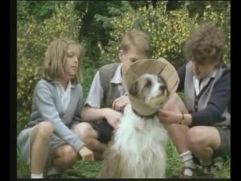 Anne (Petela), Julian (Williamson) and George (Rooper) with Timmy (Connal) in his collar. 