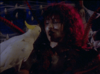 kikiandcrazybirdlady