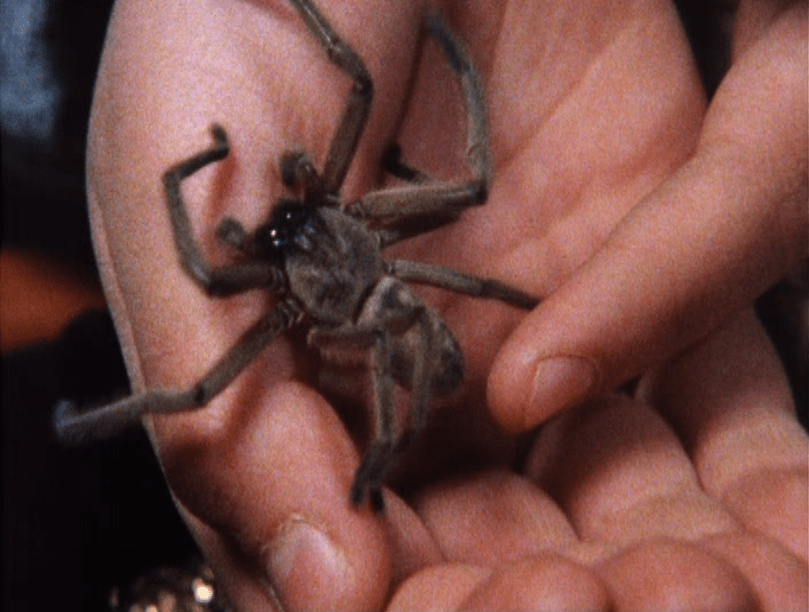 river of adventure tv