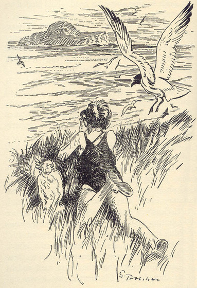 island of adventure. jack looks at the isle of gloom