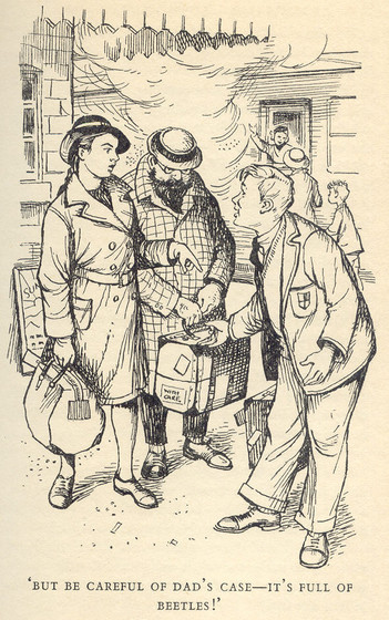 mystery of the missing man eunice tolling