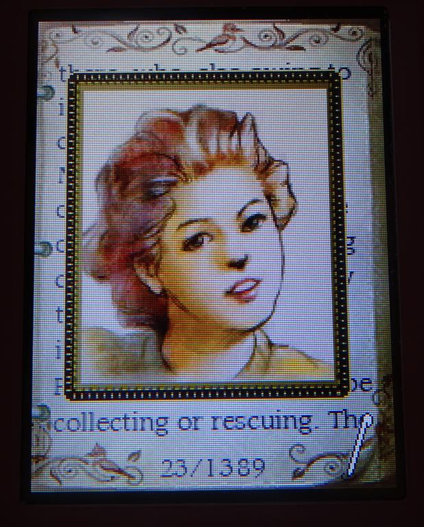 the island of adventure nintendo DS, Dinah Mannering