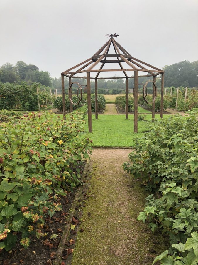wooden structure in a walled garden